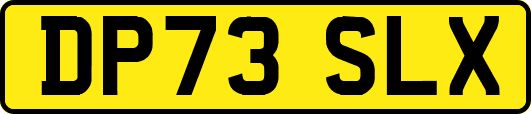 DP73SLX