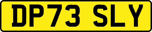 DP73SLY