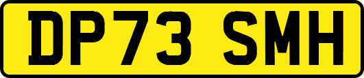 DP73SMH