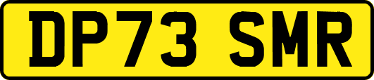 DP73SMR