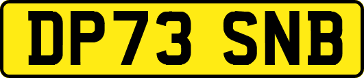 DP73SNB