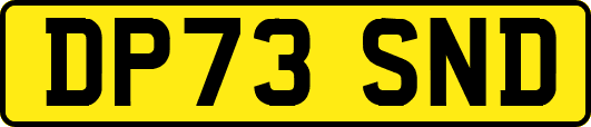 DP73SND