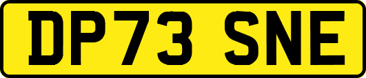 DP73SNE