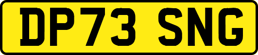 DP73SNG