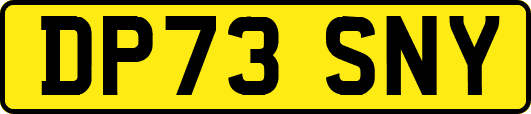 DP73SNY