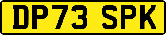 DP73SPK