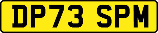 DP73SPM