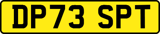 DP73SPT