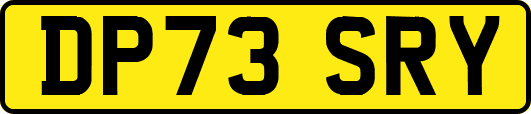 DP73SRY