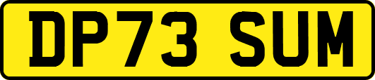 DP73SUM