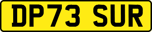 DP73SUR