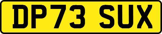 DP73SUX