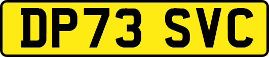 DP73SVC