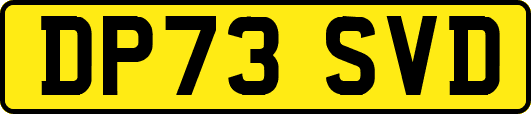 DP73SVD