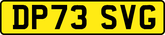 DP73SVG