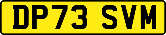 DP73SVM