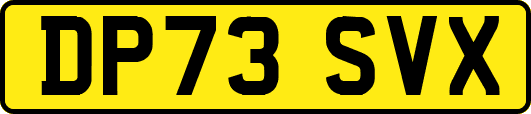 DP73SVX
