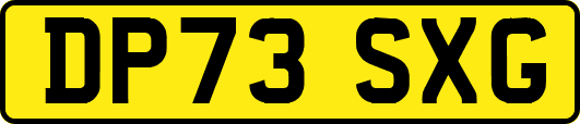 DP73SXG