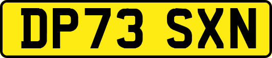 DP73SXN