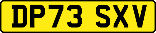 DP73SXV