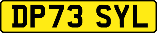 DP73SYL