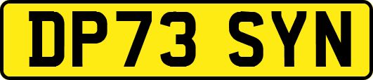 DP73SYN