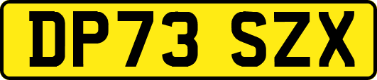 DP73SZX