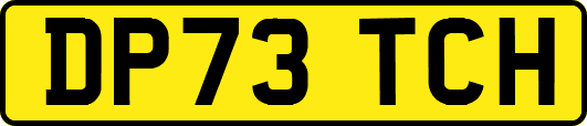 DP73TCH