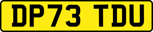 DP73TDU