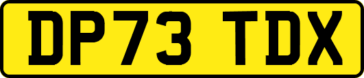 DP73TDX