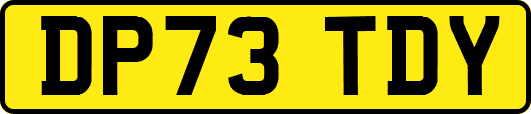 DP73TDY