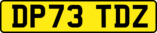 DP73TDZ