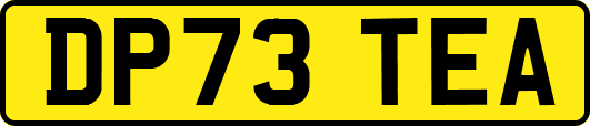 DP73TEA