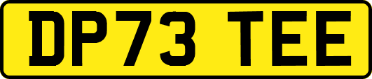 DP73TEE