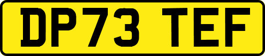 DP73TEF