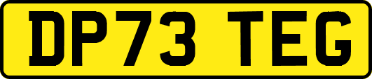 DP73TEG