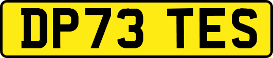 DP73TES