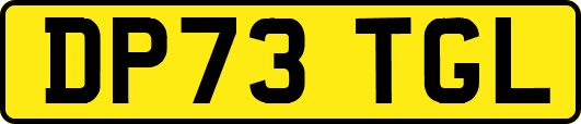 DP73TGL