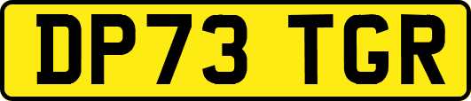 DP73TGR