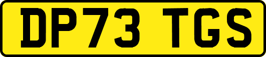 DP73TGS