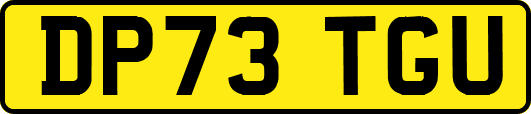 DP73TGU