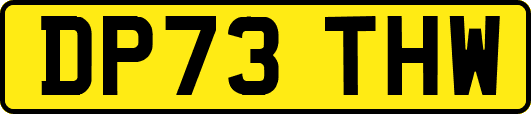 DP73THW