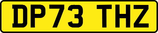 DP73THZ