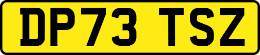 DP73TSZ