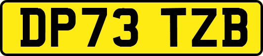 DP73TZB
