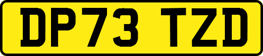 DP73TZD