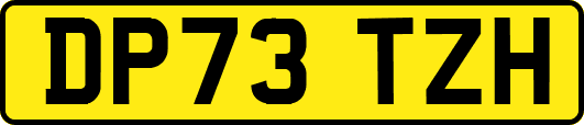 DP73TZH