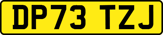 DP73TZJ