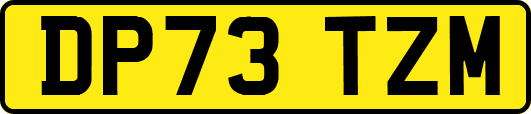DP73TZM