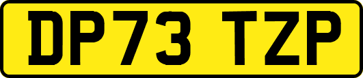 DP73TZP